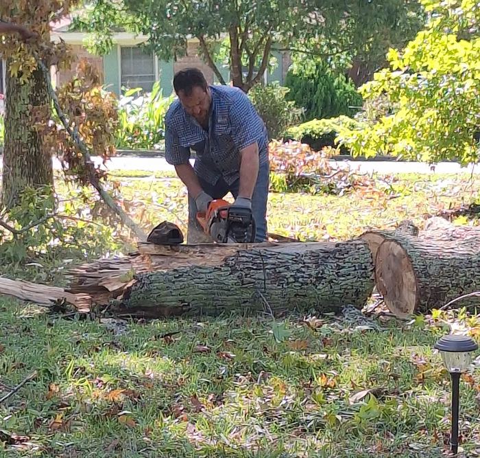Gabe cutting up a fallen tree with a chainsaw