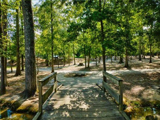 Footbridge on the wooded trail
