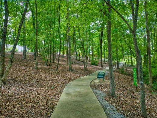 Bench along the trail