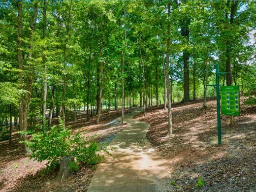 Fitness station on the wooded trail
