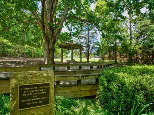 Marker for the 2006 Heritage Tree